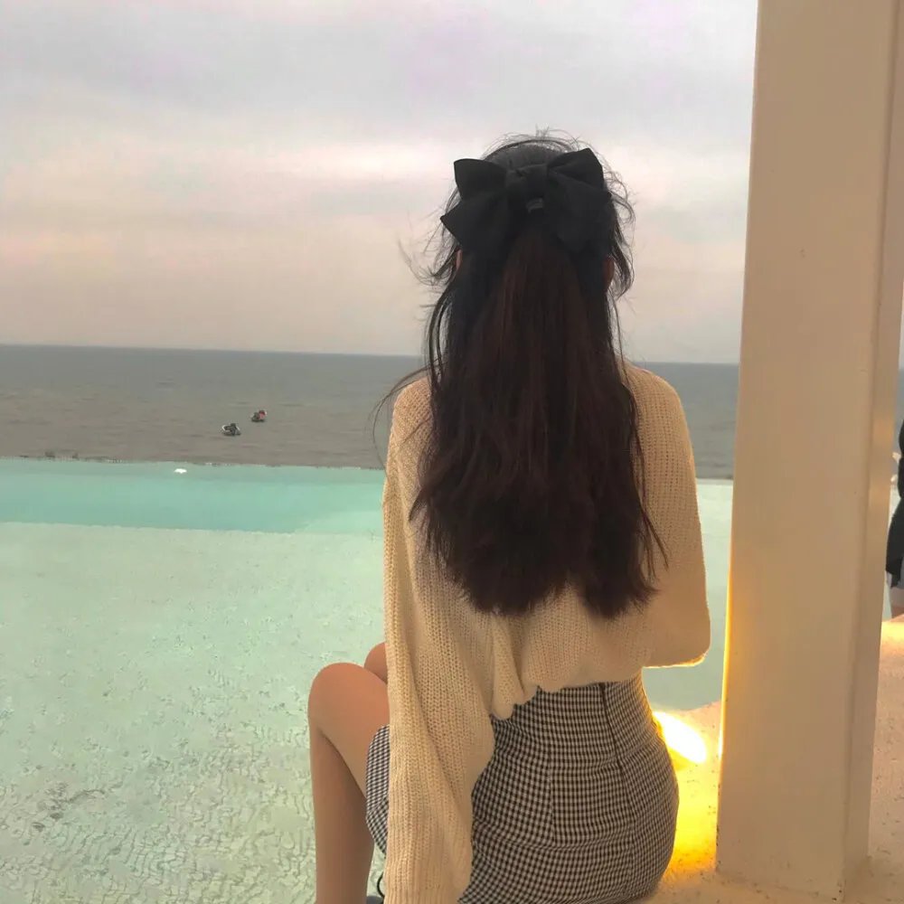 美国豚鼠